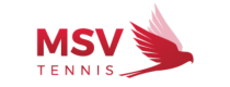 MSV